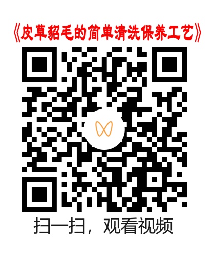 原稿视频二维码
